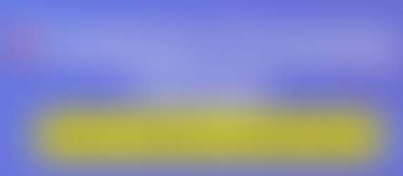 The exercise program