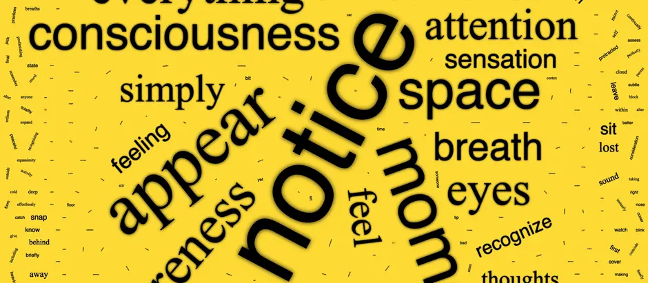 Word clouds evolution - Sam Harris Daily Meditation
