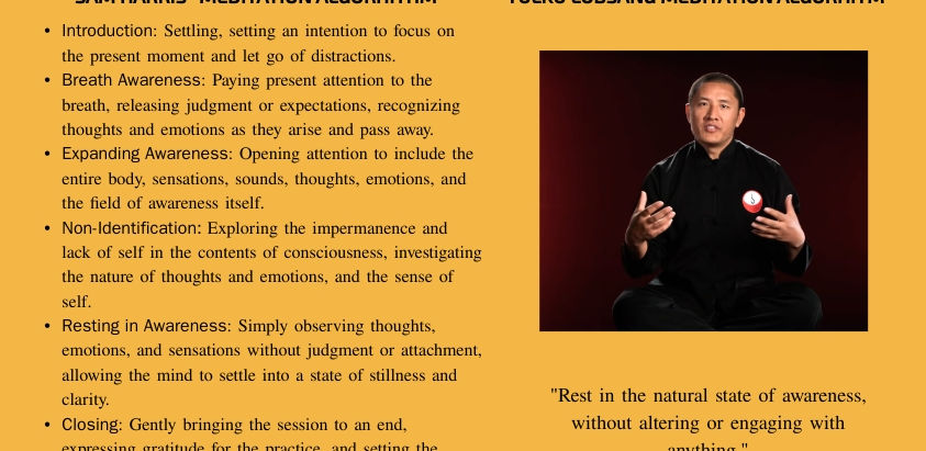 "Just rest!" - the problem of bad teaching. Sam Harris, Daniel P Brown, Tulku Lopsang
