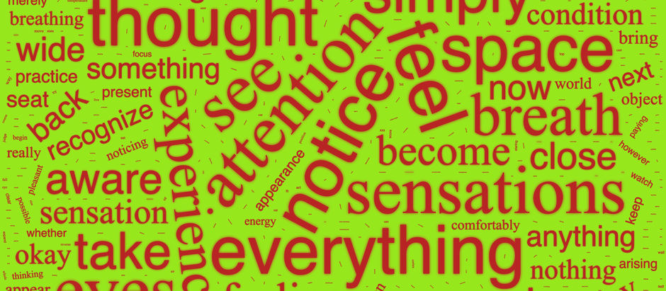 Wordcloud - Sam Harris Daily Meditation 2022.10.15