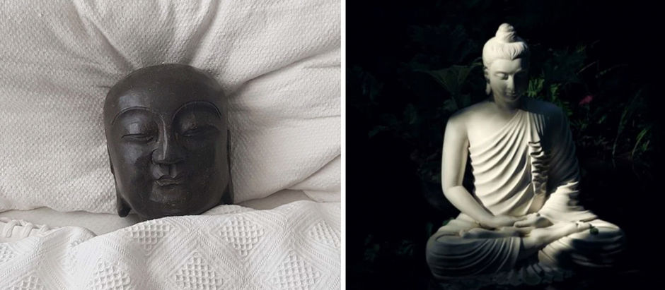 Posture (1): Sam Harris or Daniel Brown? Channels or muscles? Tibetan views and science on posture.