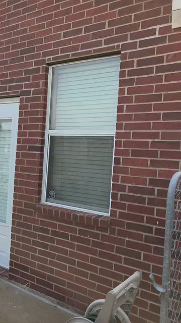 17965416812993697.mp4