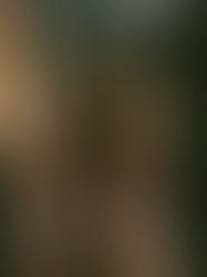 JEKYLL ISLAND, GEORGIA