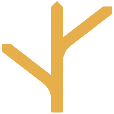 Logo-Icon-Color.png