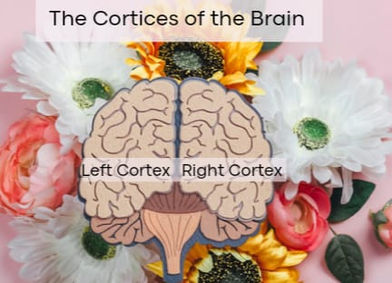 Healing Is in Your Hands: Self-Healing for a Healthy Brain and Body with the BodyTalk™ Cortices Technique™