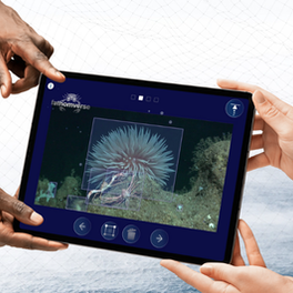 Hands hold a tablet showing an underwater sea anemone in the Fathomverse app, with blue navigation icons.