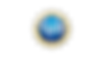 National Science Foundation Logo