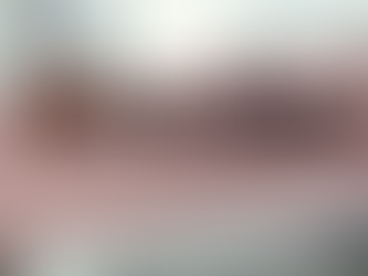 BANCÁRIOS: GRATIFICAÇÃO DE FUNÇÃO, HORAS EXTRAS, COMISSÕES E OUTRAS BONIFICAÇÕES