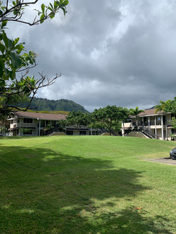 Commercial Maintenance