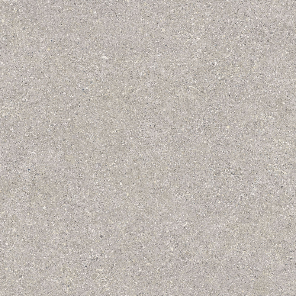 Brunswich Ceniza 600 x 600 mm