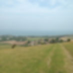 The Glebe footpath to Ballard Down