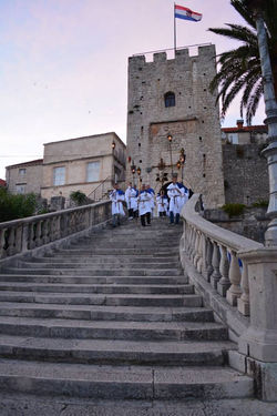 procesia 5