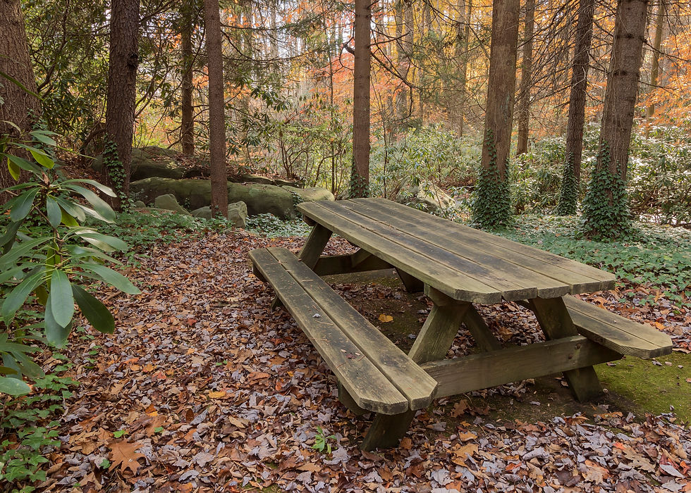 Creekside Picnic Table