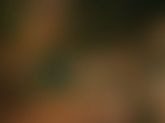 椿森コムナ 夏祭り開催決定!🏮