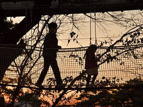 吊り橋の撤去と休業日に関するお知らせ