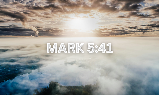 MARK 541.png