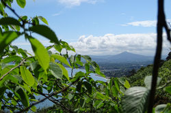Killiney Hill Park, Dalkey