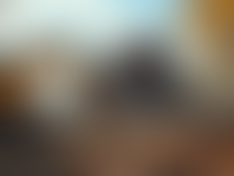 更地にするためにかかる費用と注意点