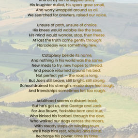 Joe's Journey -Written by Georgina Brown 