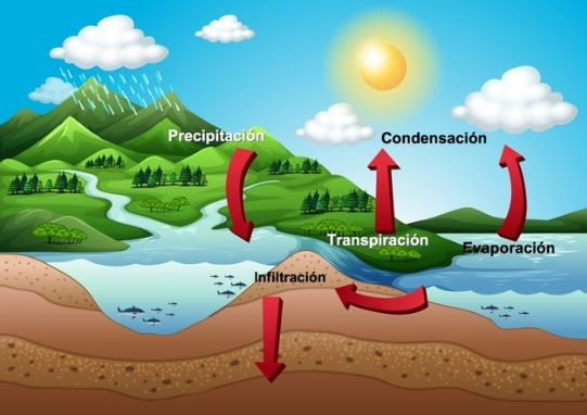 Webquest CICLO DEL AGUA