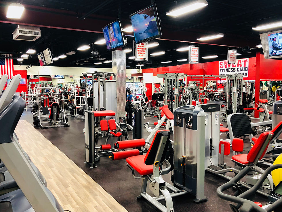 gym picture weights.jpg