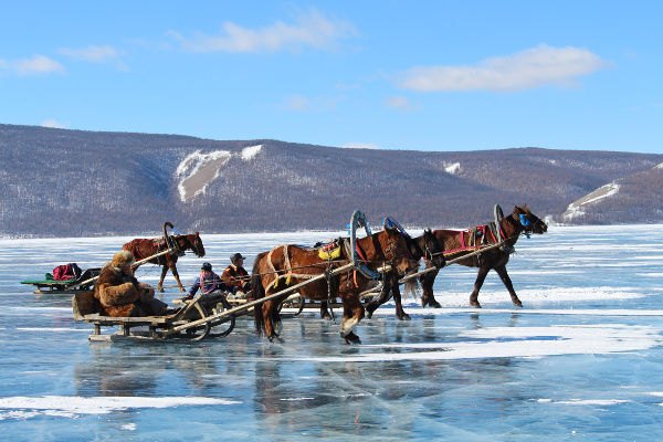 Winter Trips and Lunar New Year