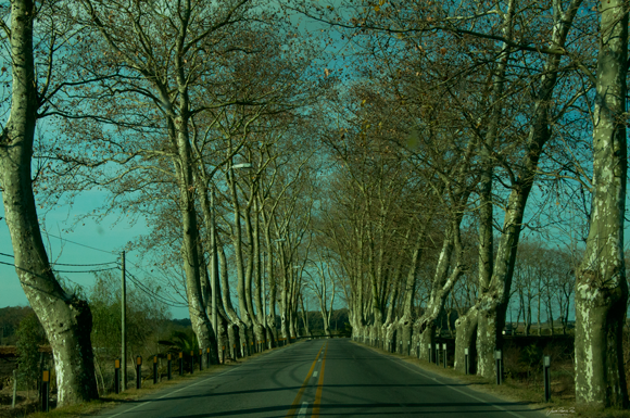 Home La Ruta, Uruguay