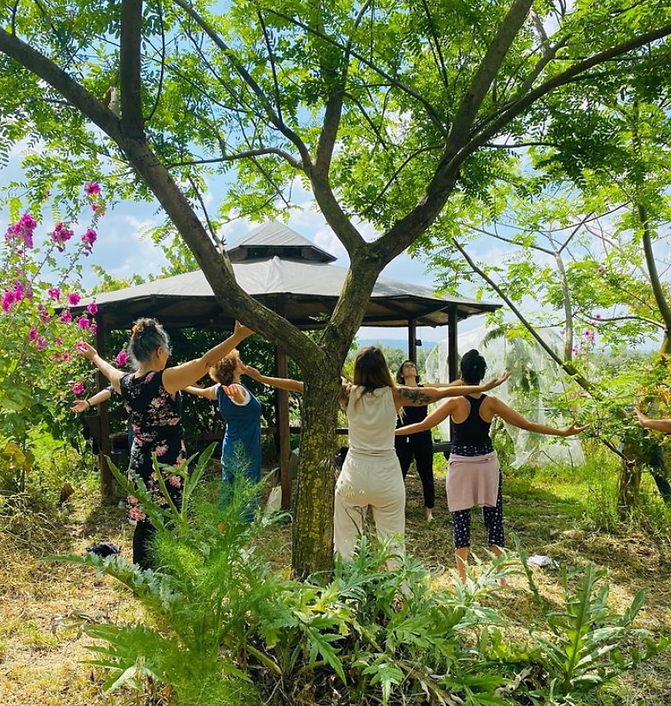 Bethlehem Food Forest