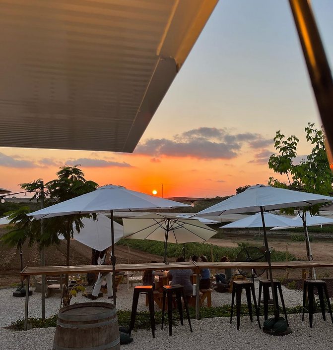 Shvarzman Cafe