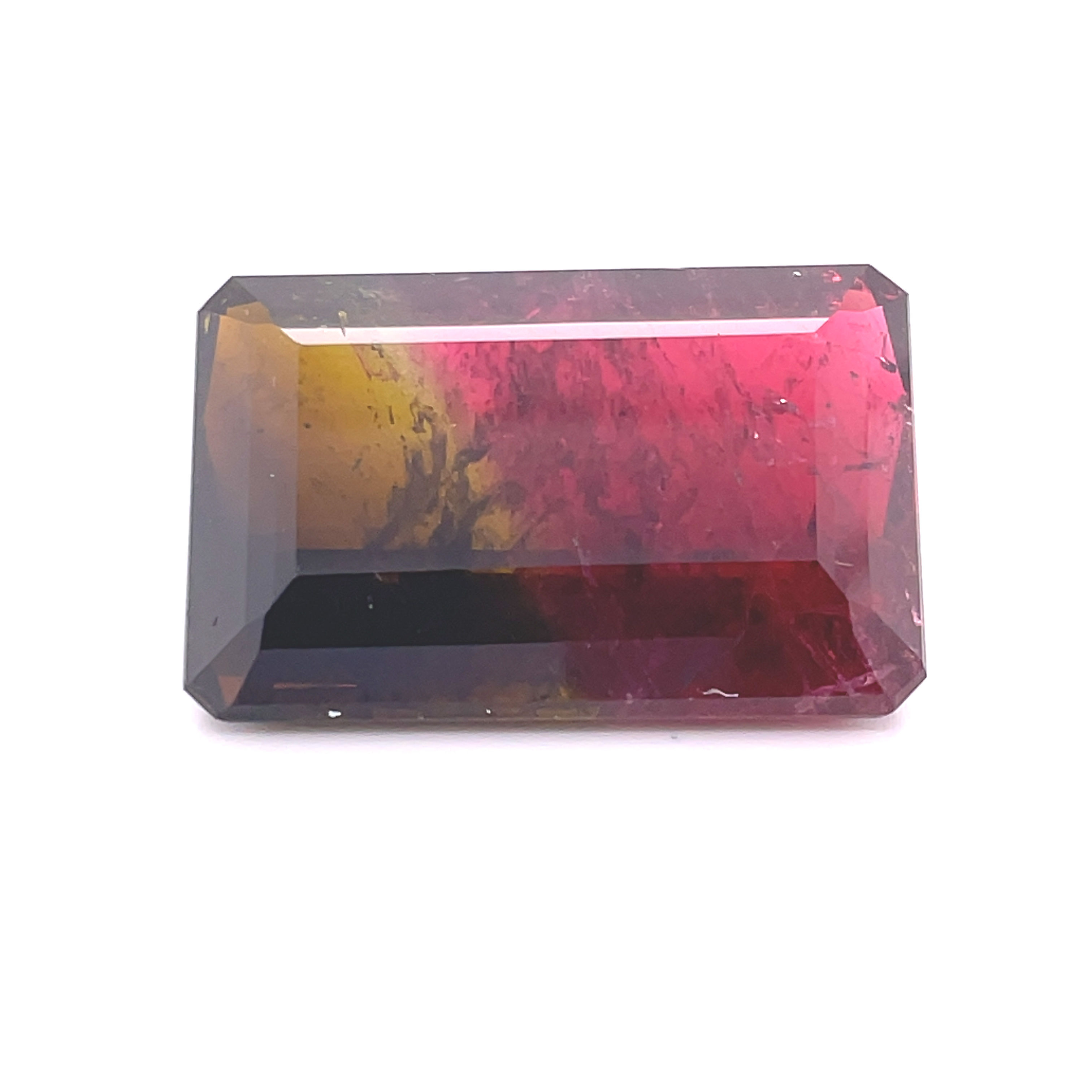 Bi color Tourmaline 66.59ct