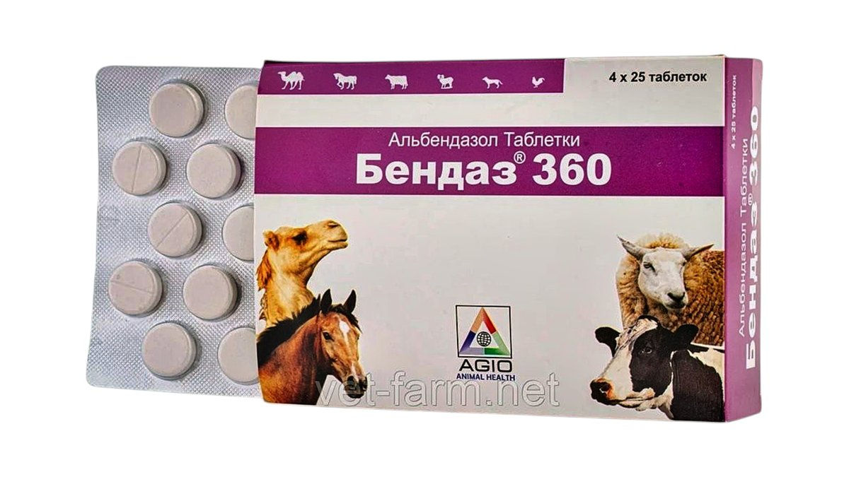 ბენდაზ-360,ტაბ