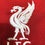 Miniatura: Camisa Liverpool 20/21 I