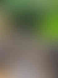 Japanese style handmade black clay pottery pieces showcased on a table