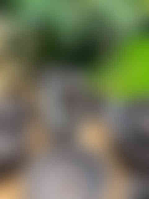 Japanese style handmade black clay pottery pieces showcased on a table