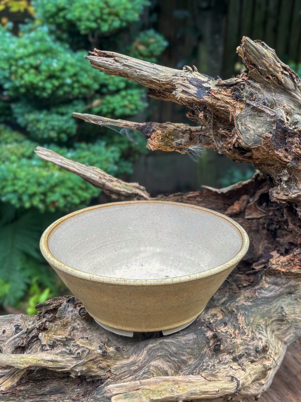 Small handmade bonsai pot with beige glaze