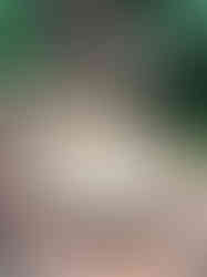 Extra Large Collection