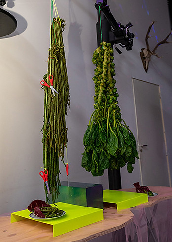 FOODSCAPES_RENEMESMAN_RENE_02.jpg