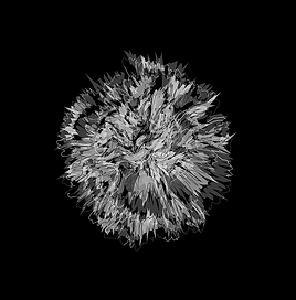 CARNATION_FLEURVM 12.png