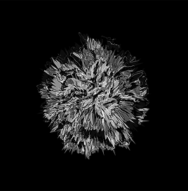 CARNATION_FLEURVM 90.png