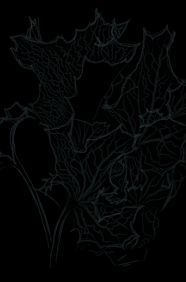 FLEURVM_SEAHOLLY-BENE_preview-excerpt.gif