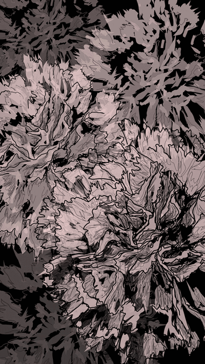 CARNATION_FLEURVM_TEST2.gif