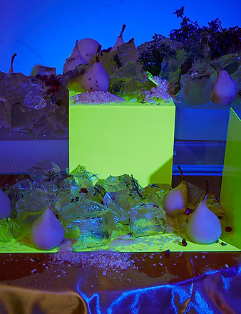 FOODSCAPE_RENEMESMAN0825 1.jpg