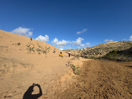 Randonnées et balades : Le guide complet pour tous les niveaux et terrains
