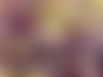 Spätzle Ricotta e Cavolo rosso