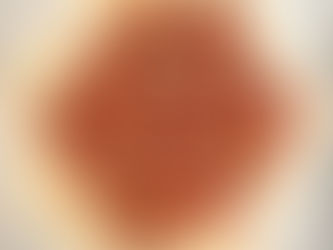 Tarte Caprino e Fichi