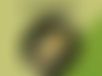 Come inserire nella dieta... IL PESCE