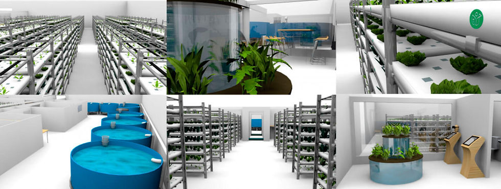 AQUAPONIE_PLANS.jpg