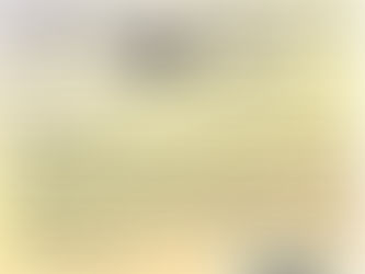 Trastorno Negativista Desafiante