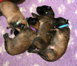 20431590_1895388104057244_6736146516820980633_n