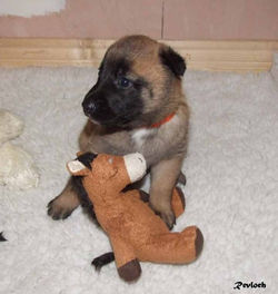 4181_1163648775883_7247979_n